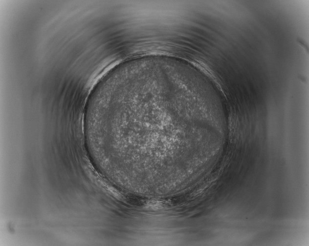 X0000103160790200809121837