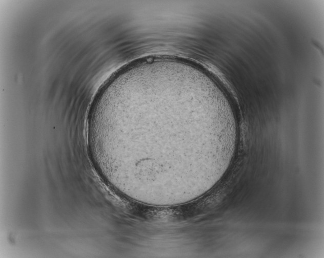 X0000103160791200809121837