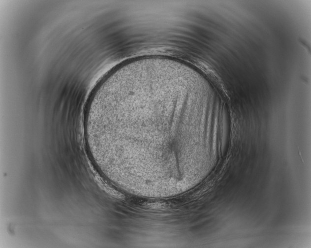 X0000103160792200809121837