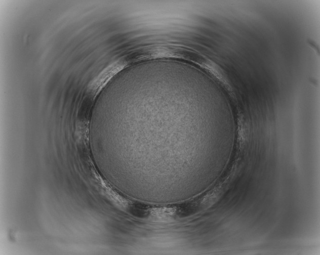 X0000103160793200809121837