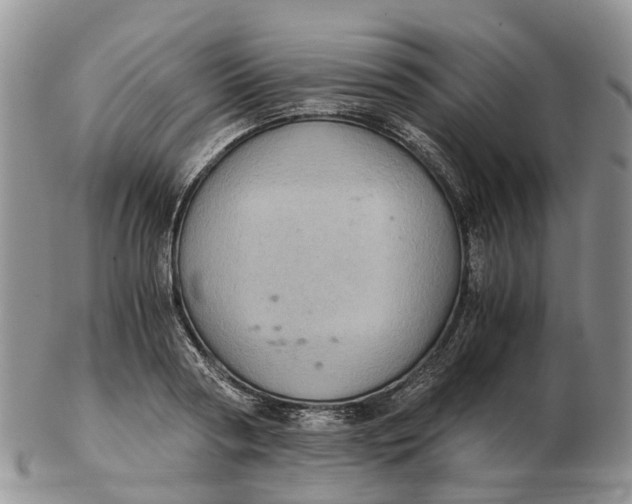 X0000103160794200809121837