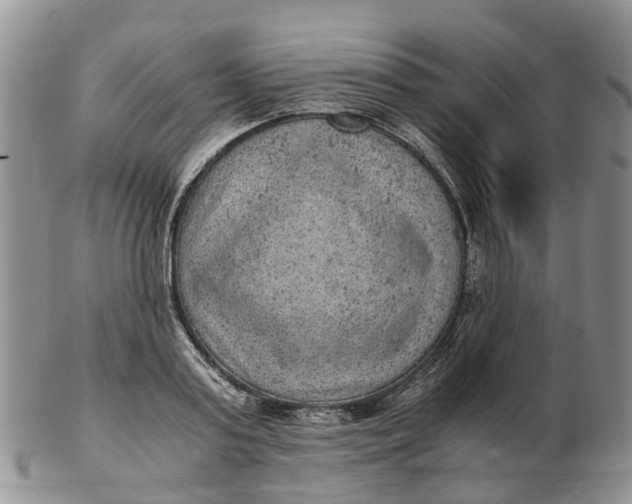 X0000103160795200809121837