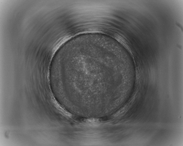 X0000103160797200809121837