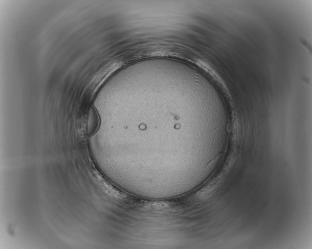 X0000103160801200809121837