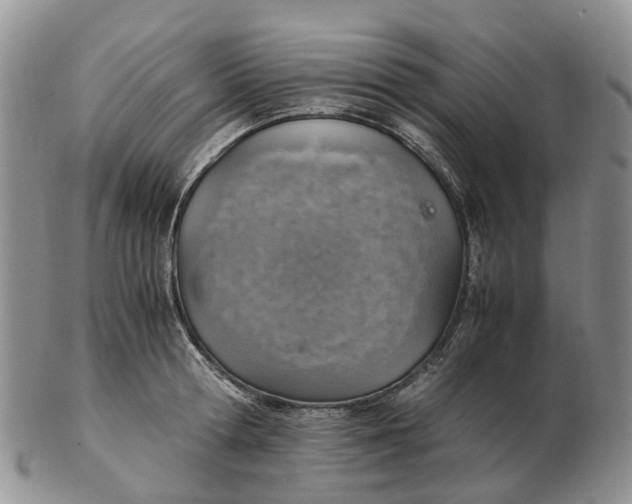 X0000103160802200809121837