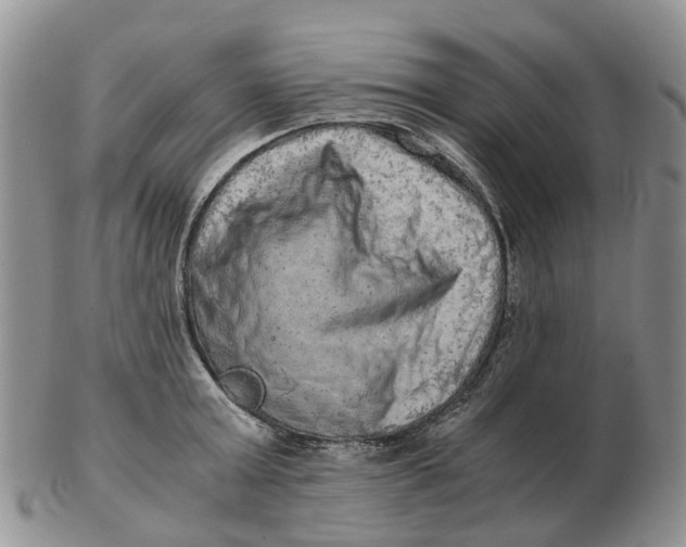 X0000103160803200809121837