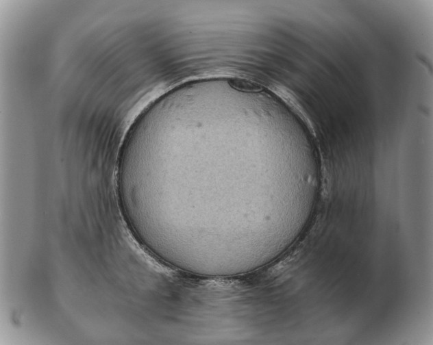 X0000103160805200809121837