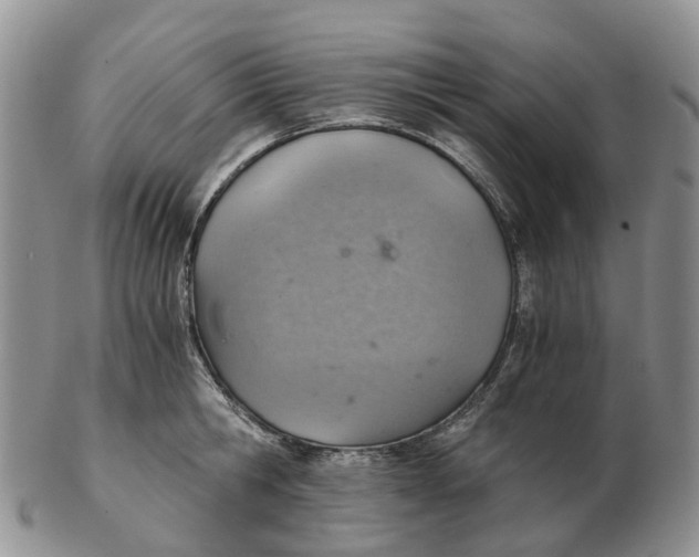 X0000103160806200809121837