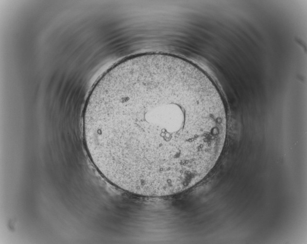 X0000103160807200809121837