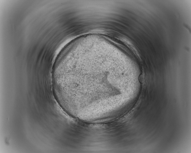 X0000103160808200809121837