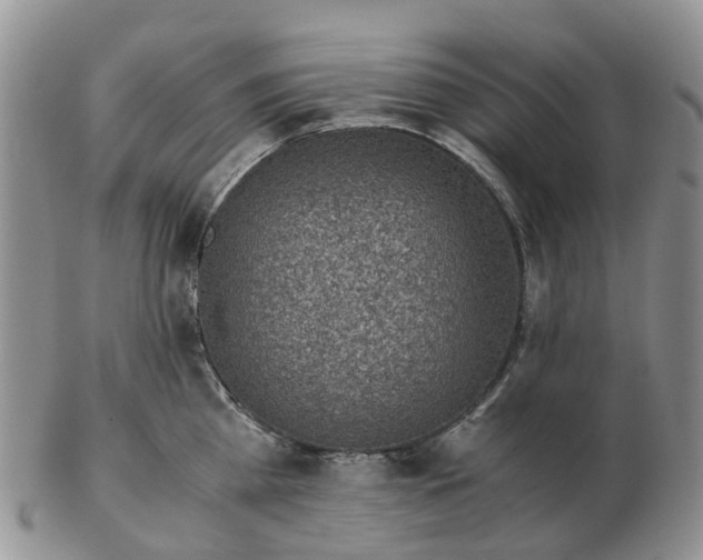 X0000103160809200809121837