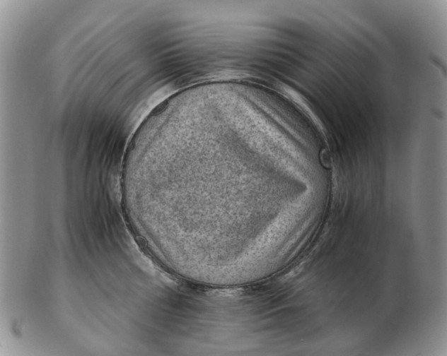 X0000103160810200809121837