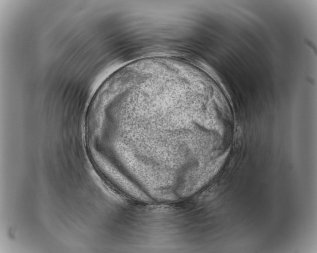 X0000103160811200809121837