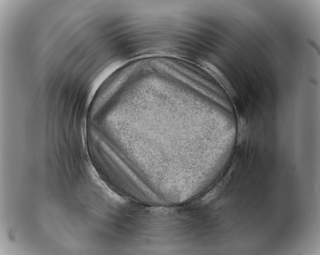 X0000103160812200809121837