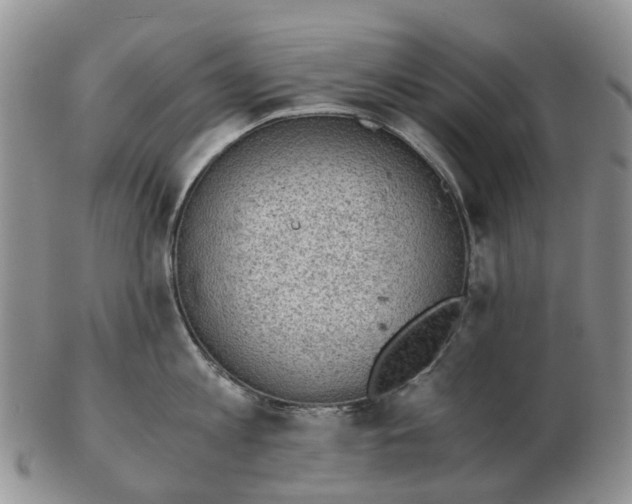 X0000103160813200809121837