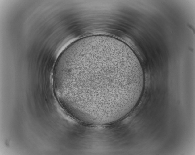 X0000103160814200809121836