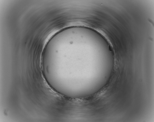 X0000103160815200809121836