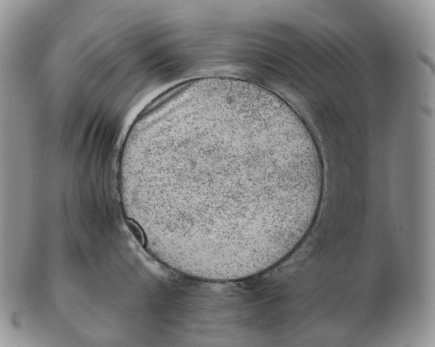 X0000103160816200809121836