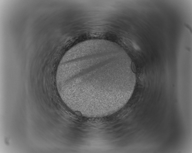 X0000103160817200809121836