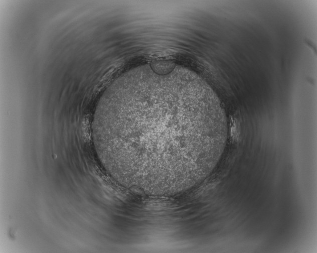 X0000103160819200809121836