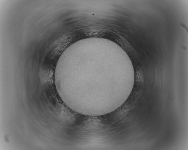 X0000103160820200809121836