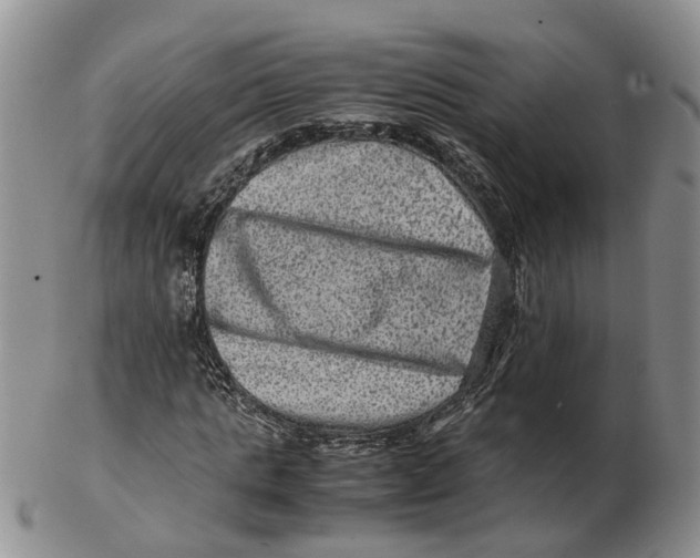 X0000103160821200809121836