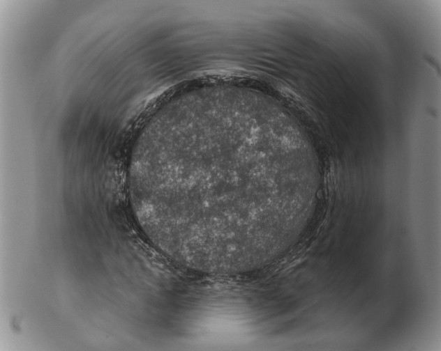 X0000103160822200809121836