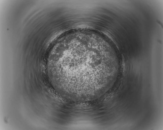 X0000103160823200809121836