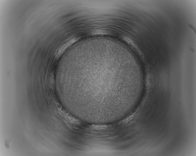 X0000103160825200809121836