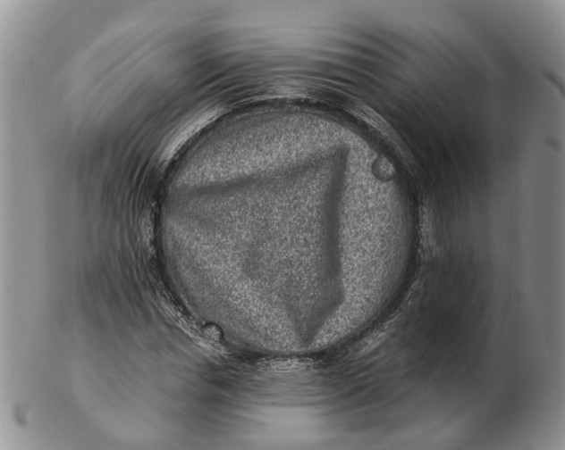 X0000103160826200809121836