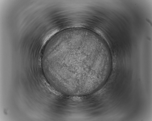 X0000103160827200809121836