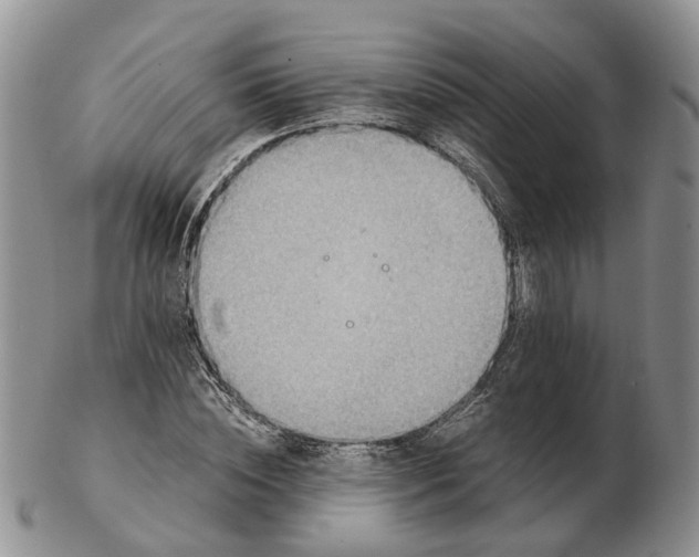 X0000103160828200809121836