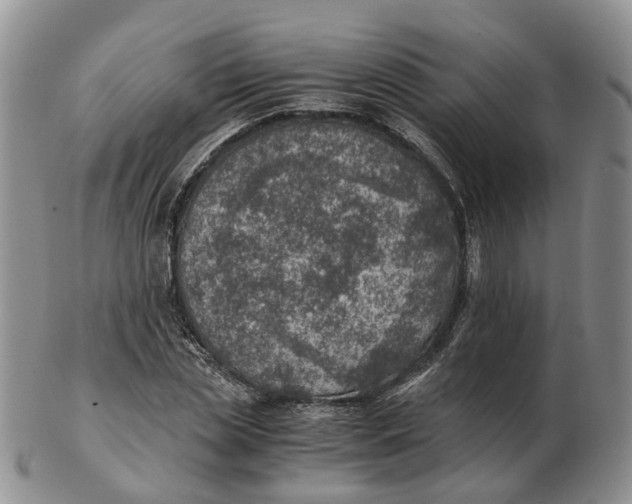 X0000103160829200809121836