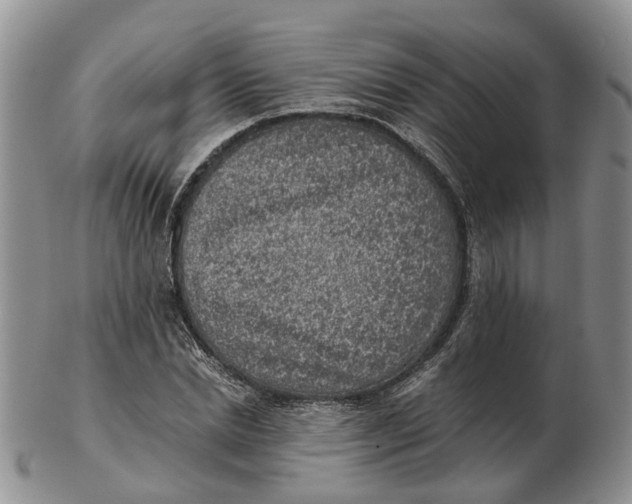 X0000103160830200809121836