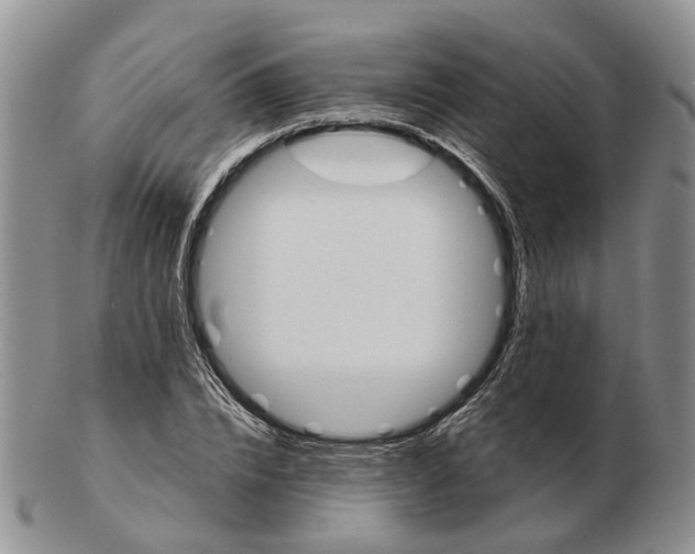 X0000103160832200809121836