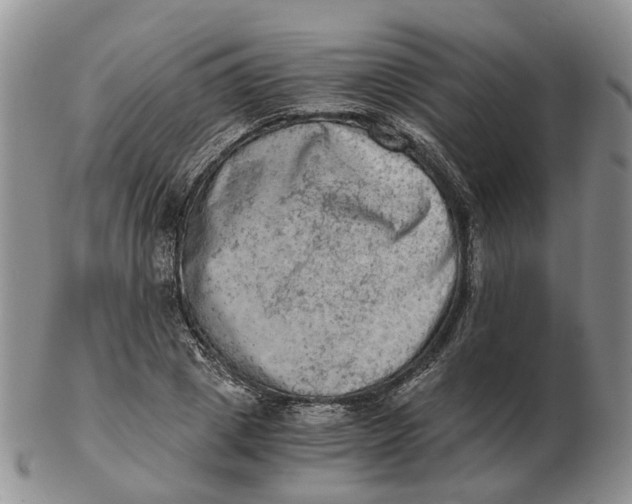 X0000103160833200809121836