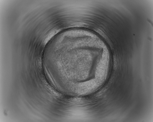 X0000103160834200809121836