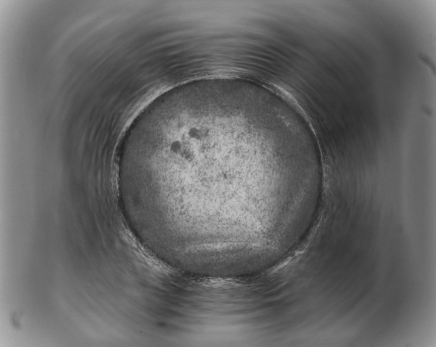 X0000103160835200809121836