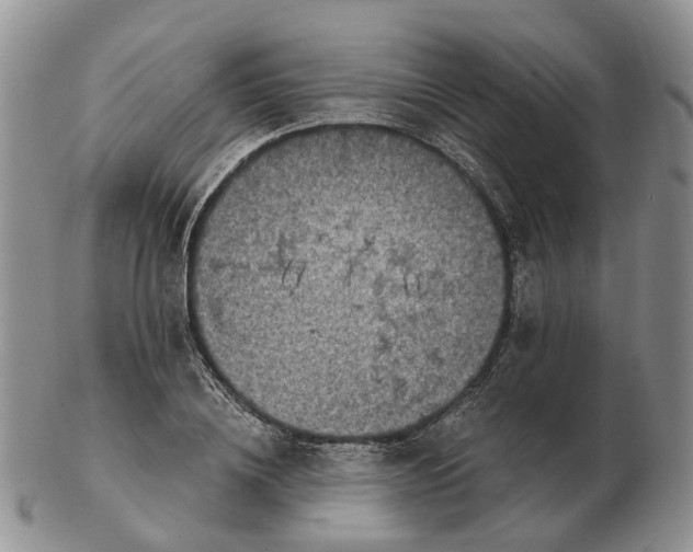 X0000103160836200809121836