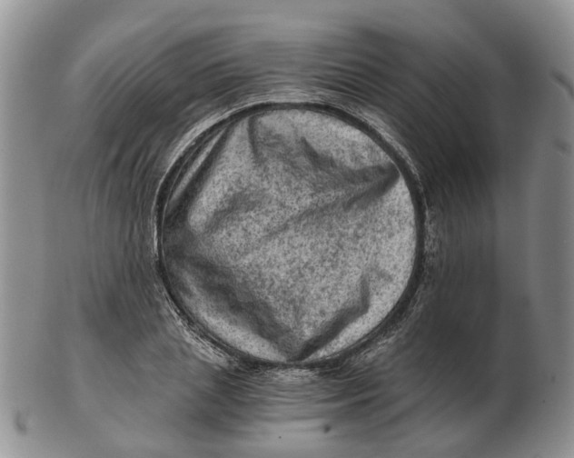 X0000103160837200809121836