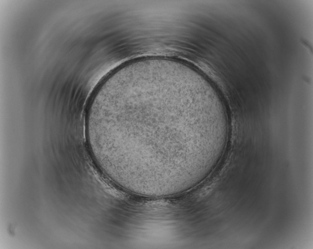 X0000103160838200809121836