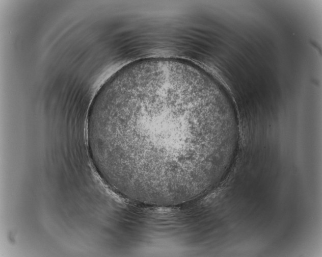 X0000103160839200809121836