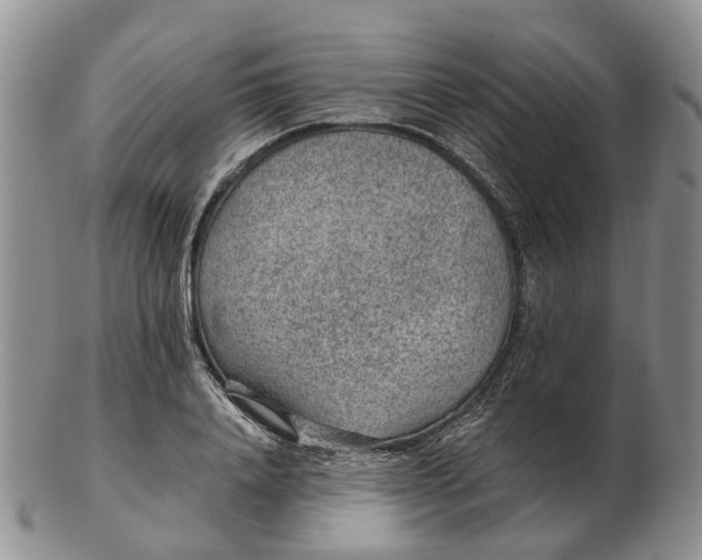 X0000103160840200809121836