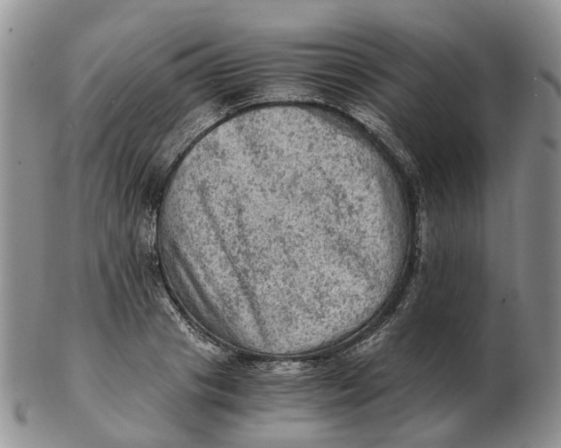 X0000103160841200809121836