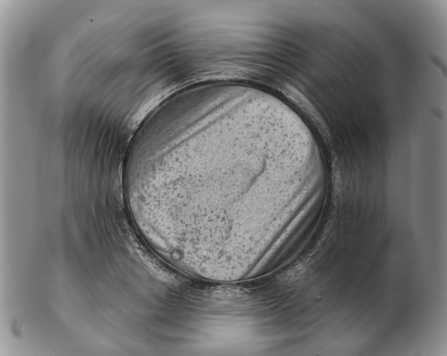 X0000103160842200809121836