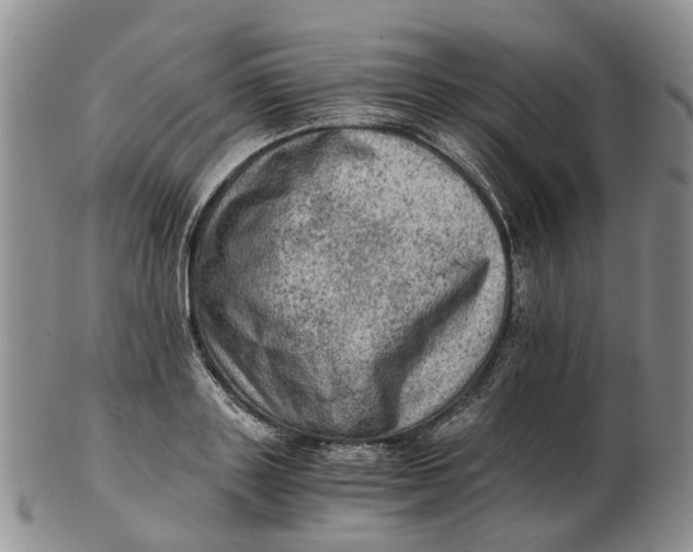 X0000103160843200809121836