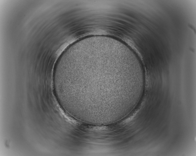 X0000103160845200809121836