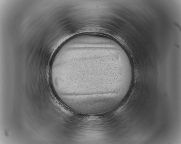 X0000103160846200809121836