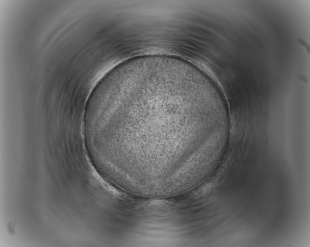 X0000103160847200809121836