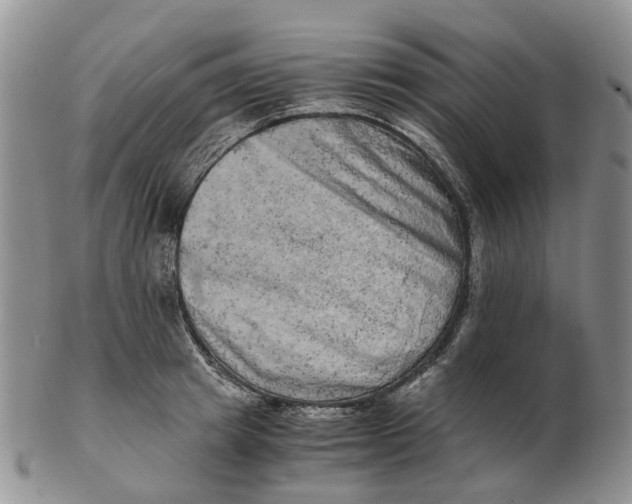 X0000103160849200809121836